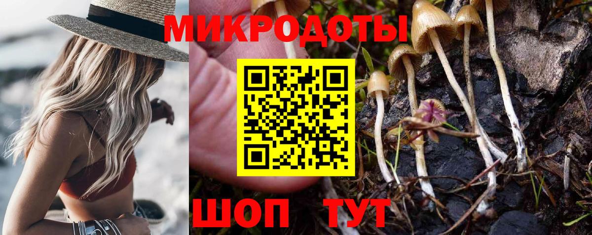 Галлюциногенные грибы MAGIC MUSHROOMS  Псилоцибиновые грибы Psilocybe  Вход с VPN  Долгопрудный 